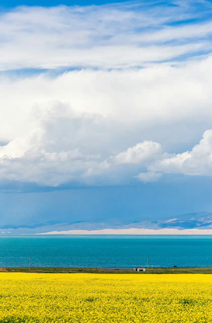 青海独特小巷风情探寻之旅